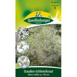 Quedlinburger Saatgut Quedlinburger Stauden-Schleierkraut Weiß
