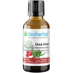 UVA URSI Echte Bärentraube Arctostaphylos uva-ursi 50 ml