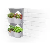 ROMBERG BoQube Flexi Garden Anzuchttopf 26 x 20 x 26 cm