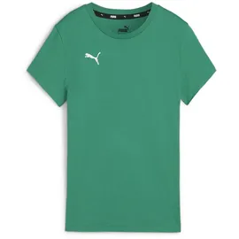 Puma teamGOAL Casuals T-Shirt grün L