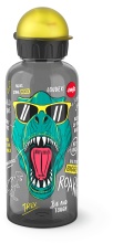 EMSA Teens Tritan Trinkflasche, 0,6 Liter, Hygienische Wasserflasche aus robustem Kunststoff, 1 Trinkflasche, Motiv: Dino