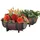 Hti-Living Nessa 41,5 x 29 x 19 cm Braun Komplettset