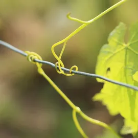 Relaxdays Bindedraht, 2er Set, 1mm Ø, 50m Länge, verzinkt, dünn, Gartenarbeit & Basteln, rostfreier Draht, Stahl, silber