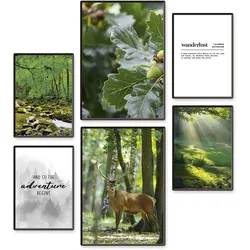 Artland Poster »Abendteuer & Wanderlust«, Wiesen & Baumbilder, (Set, 6 St.), 6er Set, 2xDIN A3 / 4xDIN A4, ohne Rahmen Artland Farbe Bild(er): grün
