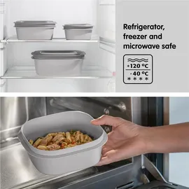 SUNWARE Aufbewahrungsbox Sigma Home 0,5 l 1-tlg. grau