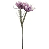 Europalms Magnolienzweig (EVA), violett