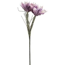 Europalms Magnolienzweig (EVA), violett