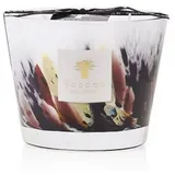 Baobab Collection Rainforest Tanjung Duftkerze 500 g grau