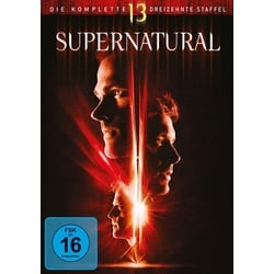 Supernatural - Staffel 13 [5 DVDs]