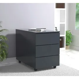 VCM Dalosa Rollcontainer 70 x 39 x 55 cm anthrazit