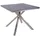 Garden Pleasure Gartentisch 90 x 90 x 75 cm Braun/Silber