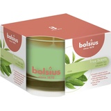 Bolsius True Scents Duftglas 6,3 cm grüner tee