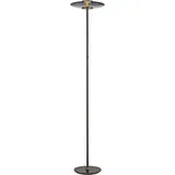 neuhaus pure® by paul neuhaus Vitrum 32,0 cm 180,0 cm grau