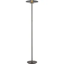 neuhaus pure® by paul neuhaus Vitrum 32,0 cm 180,0 cm grau
