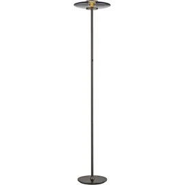 neuhaus pure® by paul neuhaus Vitrum 32,0 cm 180,0 cm grau