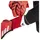adidas Predator Pro Rot 10