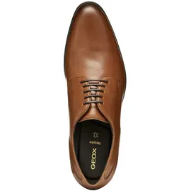 GEOX Iacopo Herren Braun 42
