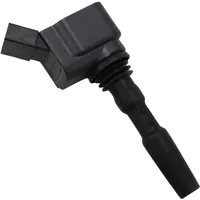 BorgWarner (Beru) Beru Zündspule