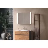 Schneider EASY LED-Lichtspiegelschrank, eine Tür wechselbarer Anschlag, 60x70x14cm, 175.060.01.0201, Ausführung: CH-Norm/Korpus weiss/3000K