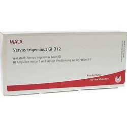 Nervus trigeminus Gl D12 Ampullen