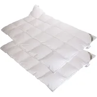 2 Stück Betten Hofmann Belladream Daunendecken Daunenbetten 4x6 155x220 cm 100% Daunen Außensteg