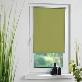 LIEDECO Seitenzugrollo 45 x 150 cm grün