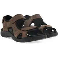 ECCO Onroads Herren brown/black 44