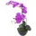 Europalms Orchideen-Arrangement 4,