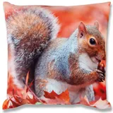 BestLivings 2er Pack Eichhörnchen) 40 x 40 cm