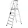 Günzburger Aluminium-Stehleiter 6 Stufen (50086)