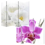 Mendler Foto-Paravent Paravent Raumteiler Trennwand M68 ~ 180x200cm, Orchidee