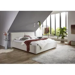 Polsterbett MEISE.MÖBEL "Magnum", beige (beige, beige), B:212cm L:229cm, Betten, wahlweise mit Bettkasten