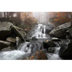 Fototapete PAPERMOON "Photo-Art FRANCESCO TAVANI, HERBSTNEBEL", bunt, B:3,50m L:2,60m, Vlies, Tapeten