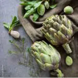 Glasbild ARTICHOKE II - bunt