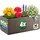 CASARIA Ethica 80 x 36 x 36 cm Braun Komplettset