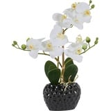 Kunstpflanze Orchidee Orchidee, Leonique, Höhe 38 cm, Kunstorchidee, im Topf, Bestseller, über 2500 4,5-Sterne-Bewertungen schwarz|weiß 13 cm x 38 cm x 6,5 cm