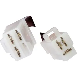 RMS Spannungsregler 2 Stecker mit