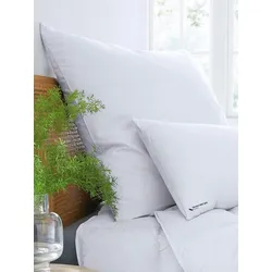 3-Kammer-Kopfkissen ca. 80x80cm HANSKRUCHEN weiss