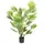 HJH Office Kunstpflanze ARECA I Palme Grün