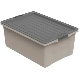 Rotho Eco Compact 40 x 25 x 57 cm 1-tlg. transparent