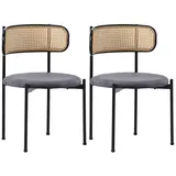 OKWISH Esszimmerstuhl Rattanstuhl (2 St), Polsterstuhl Kunstleder Wohnzimmerstuhl, Metallbeine grau