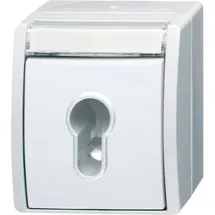 Busch-Jaeger Schlüsselschalter 2733 SLW-54