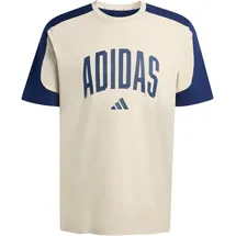 adidas Collegiate T-Shirt Herren T-Shirt, braun - 3XL