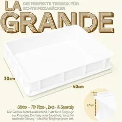 Pizza Lover Pizzaballenbox mit Deckel 3x weiß 30x40x7,5 cm Gärbox Teigballen Brotteig Hefeteig & Sauerteig Box ideal für Kühlschrank - Pizza Zubehör