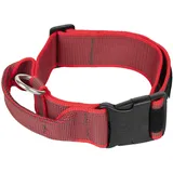 Julius-K9 Color & Gray Halsband Rot 49-70 cm
