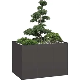 vidaXL Pflanzkübel 120 x 80 x 80 cm Schwarz