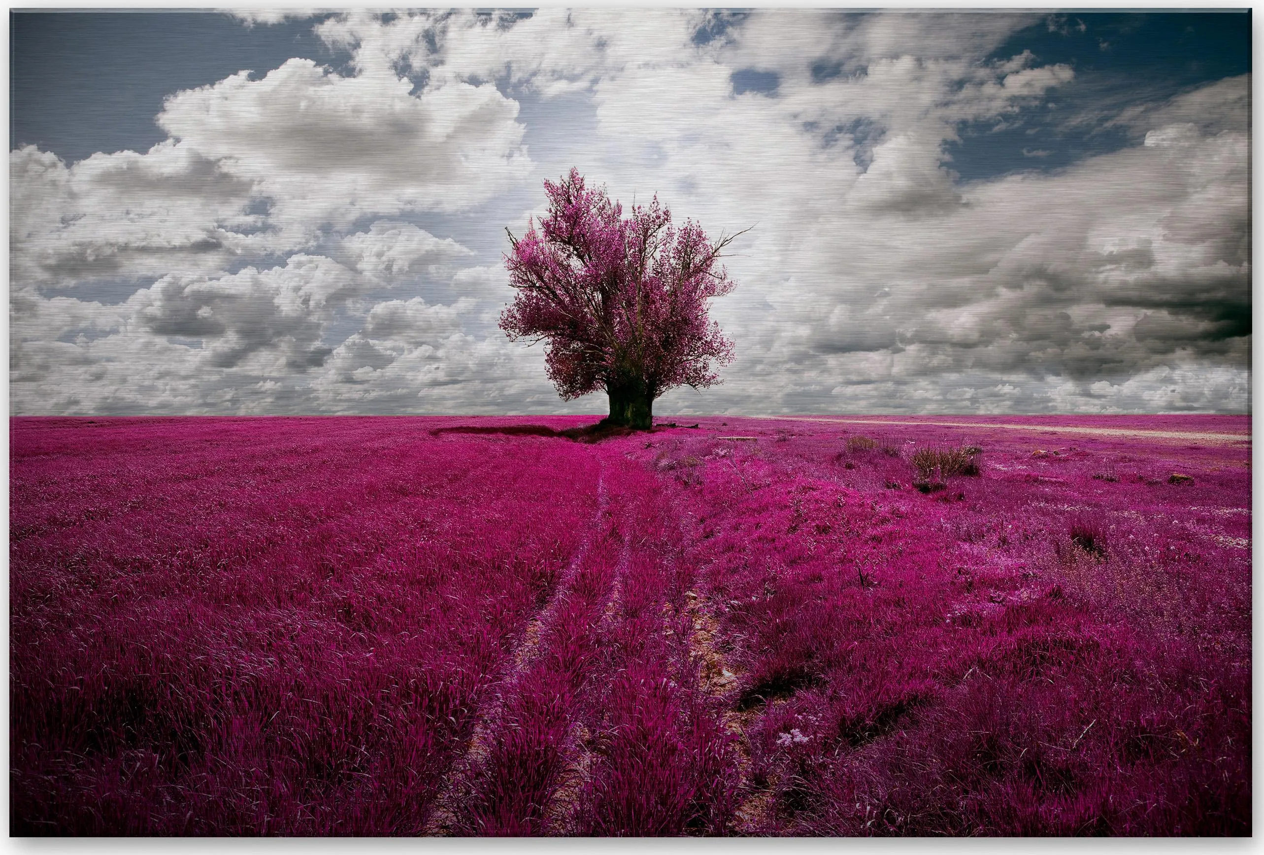 Wall-Art Metallbild »The Lonely Tree Blühender Baum«, Geschirr & Besteck, in 2 Größen Wall-Art pink weiß