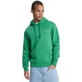 QUIKSILVER Salt Water Graphic Hoodie Grün L