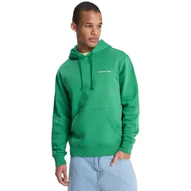 QUIKSILVER Salt Water Graphic Hoodie Grün L