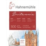 Hahnemühle Britannia Aquarellblock, satiniertes naturweißes Aquarellpapier, 300 g/m2, 12 Blatt, 17 x 24 cm